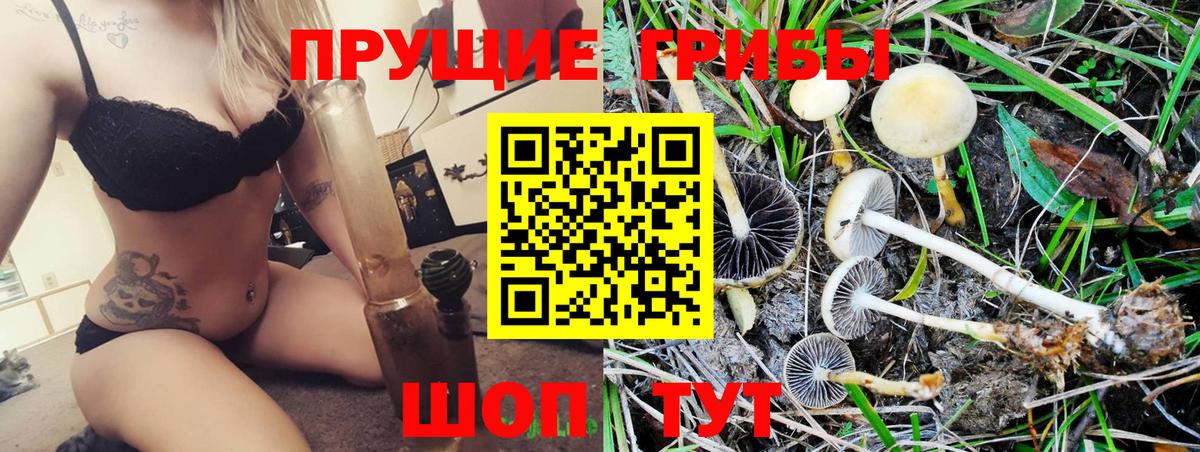 Серов  где можно купить   Вход с VPN  Псилоцибиновые грибы прущие грибы 